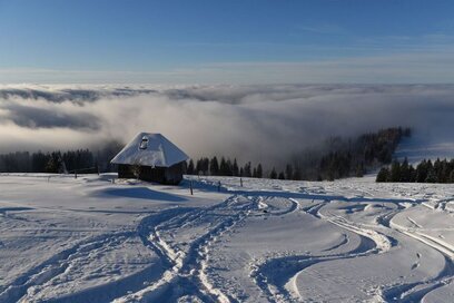 Schneeschuhwandern - Feldberg Schwarzwald