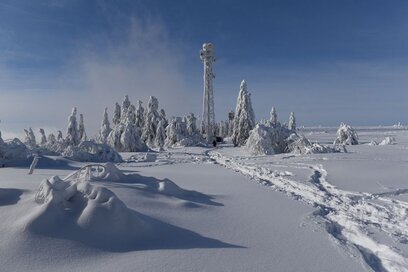 Schneeschuhwandern - Hornigsrinde Schwarzwald