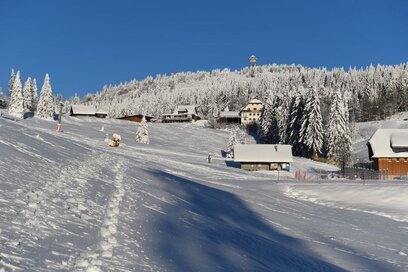 Schneeschuhwandern - Herzogenhorn Schwarzwald